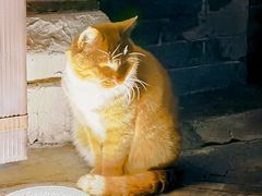 -CHURCH  BISTRO 教堂·餐吧