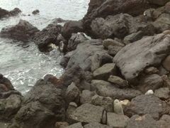 -龙头岩(Dragon Head Rock)