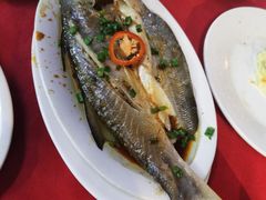-蛇口康乐快餐鱼仔档(翠苑小区店)