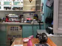 -猫小院猫主题餐厅(三里屯店)