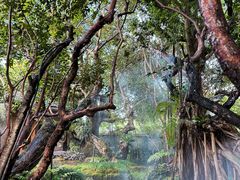 -Chom Cafe and Restaurant