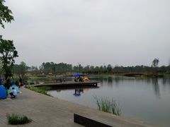 -白鹭湾湿地公园