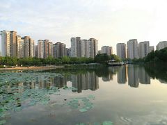 -新江湾城公园