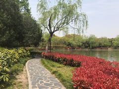 -黄兴公园
