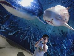 -烟台海昌鲸鲨海洋公园