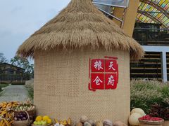 -中国天府农业博览园