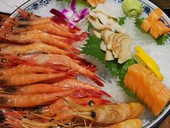 -黑松白鹿(崇文门新活馆店)