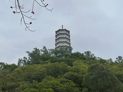 -深圳国际园林花卉博览园