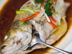 -便宜坊烤鸭店(甜水园店)