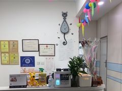 -中农国际动物医院24小时·猫科·骨科·急重症中心