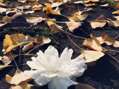 -尚贤河湿地