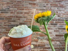 新鲜薄荷-Dal Cuore 达可芮冰淇淋(陕西北路店)