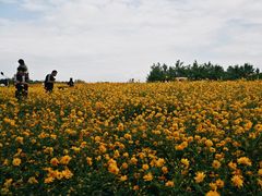 -江苏三台山国家森林公园