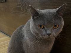 -壹人壹像工作室(购物公园店)