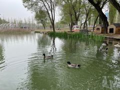 -上海圣淘沙万怡酒店