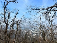 -紫金山山顶公园