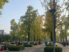 -两江幸福广场