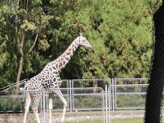 -石家庄市动物园