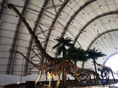 -辽宁古生物博物馆