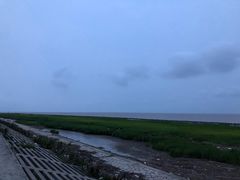 -南汇嘴观海公园