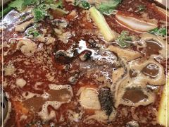 -新乡杨记红焖羊肉火锅(天坛南门店)