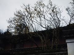 -宁波市保国寺古建筑博物馆