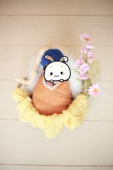 -孕视觉专业孕妇摄影(天津南开店)