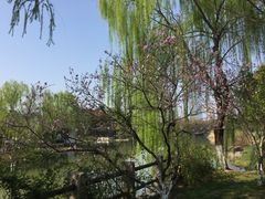 -尚贤河湿地