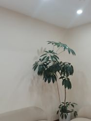 -HEYAN荷妍专业脱毛连锁机构