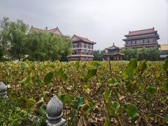 -大明幻境第一城