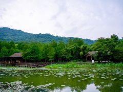-八卦田遗址公园