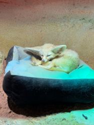 -酷嗒动物文化乐园(cutezoo西溪乐天城店)