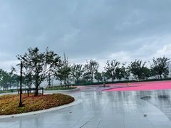 -上海山野camping·户外天幕烧烤·团建拓展营地
