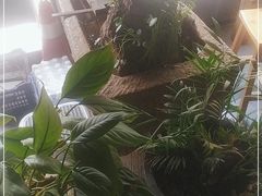 -冯记白土岗辣子鸡