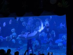-台州海洋世界
