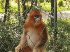 -哈尔滨北方森林动物园