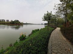 -顺峰山公园