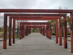 -春花秋色城市公园