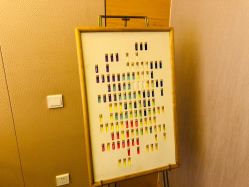 -彩虹之门健康管理