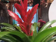 -老灶房-四川土菜(开元店)