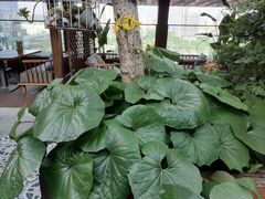 -时光乌托邦空中花园·川味·礼宴(星汇两江店)