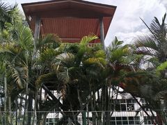 -中山夏威夷游泳馆(小榄店)