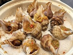 -连鹭海鲜·海肠捞饭·海胆饭(星海店)