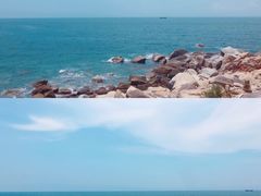 -广东惠东海龟国家级自然保护区