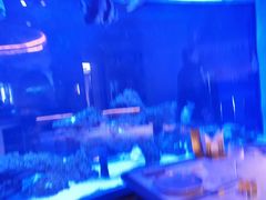 -上和臻品中国菜(花园街店)