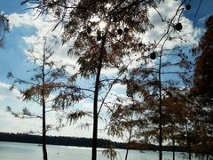 -上海海湾国家森林公园