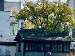 -常熟方塔园