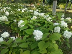 -白塘生态植物园