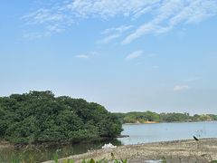 -海珠湖公园
