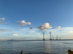 -宝安西湾红树林湿地公园